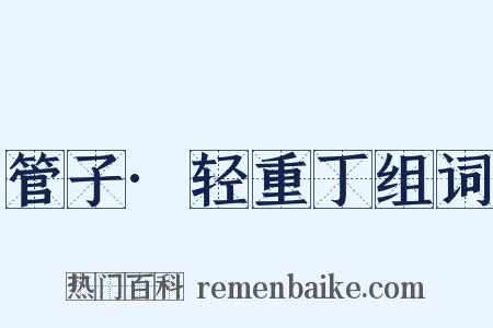 管子·轻重丁组词是什么意思的图片